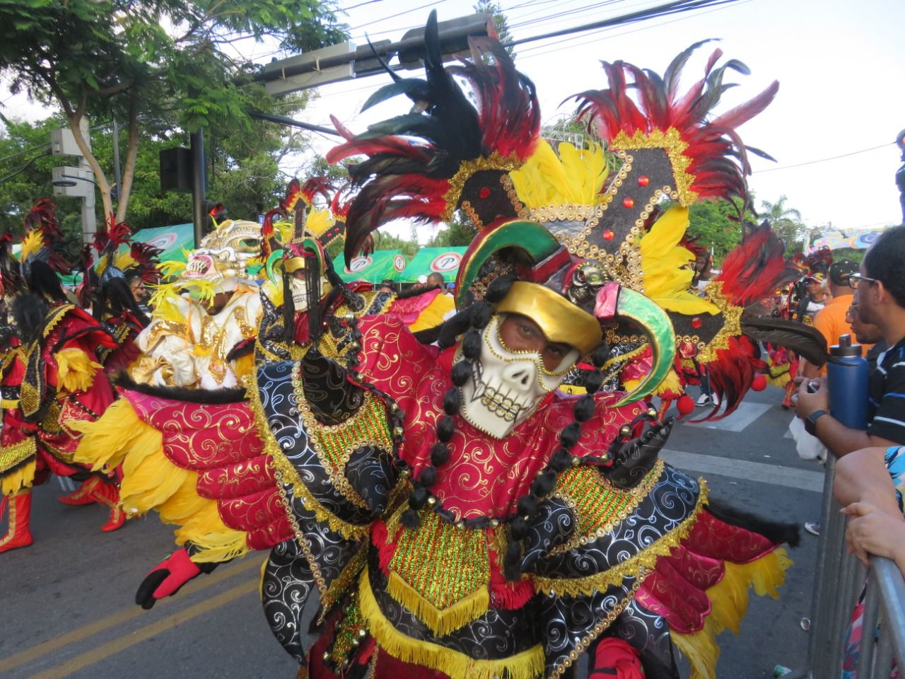 El Carnaval de la Vega es uno de los más populares del Carnaval Dominicano. 
Cada año se generan miles de visitas de turistas y locales para ver el desfile de las diferentes grupos veganos.