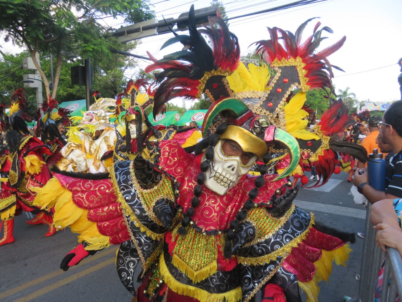 El Carnaval de la Vega es uno de los más populares del Carnaval Dominicano. 
Cada año se generan miles de visitas de turistas y locales para ver el desfile de las diferentes grupos veganos.