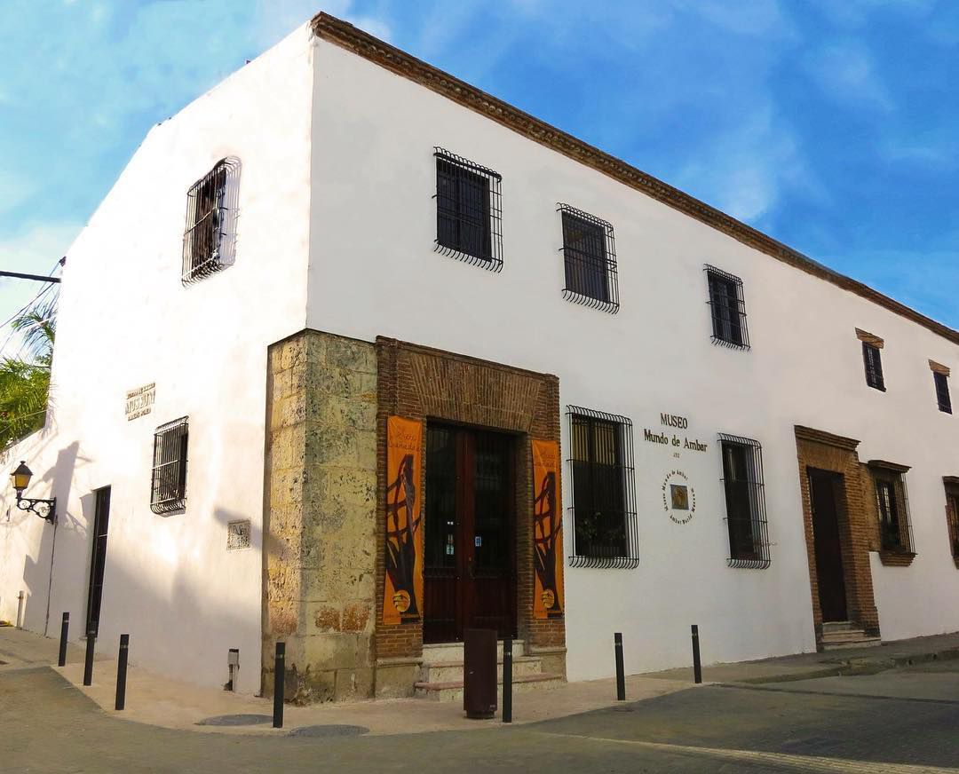 El Museo Mundo del Ámbar es una institución educativa que nace por iniciativa de Jorge Caridad, fundador y presidente del taller de Ámbar (AMBASA), inaugurado el 5 de septiembre de 1996, en el que rinde homenaje a la cuidad de Santo Domingo en el 5to Centenario de su fundación en 1496. En este Museo se encuentran los datos históricos y científicos sobre la vegetación de la época, los animales y los vegetales que quedaron fosilizados en el ámbar y todo lo concerniente a la formación y las características de esta gema.

Las piezas expuestas en las vitrinas, los paneles, los grandes microscopios, los dioramas y los audiovisuales interactivos de tecnología avanzada, nos transportan hacia el origen del ámbar, y representan un excitante viaje en el amanecer del tiempo, regalándonos la memorable y única experiencia de un conocimiento completo para aprender todos los secretos del ámbar.

Además el museo cuenta también con un taller, donde se puede apreciar el trabajo de nuestros expertos artesanos en la creación de magnificas joyas de ámbar montadas en oro y plata, que se pueden adquirir en nuestra elegante boutique, especializada en la venta de valiosas piezas de carácter científicos, libros, suvenires y postales.
