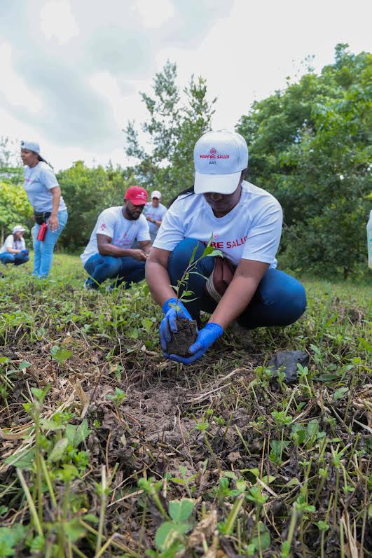 MAPFRE Salud ARS y MAPFRE BHD realizaron jornada de reforestación