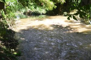 Urgen se investigue contaminación del río Catalina por cenizas de Punta Catalina