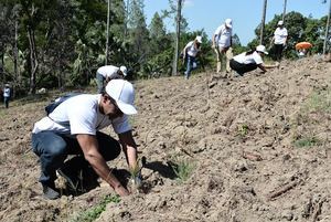 Corporación Zona Franca siembra más de cinco mil plantas en SAJOMA