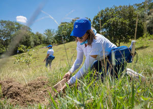 Banco Popular realiza jornada de reforestación junto a proveedores y colaboradores voluntarios