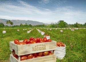 Supermercados Nacional lanza la plataforma “Origen Nacional