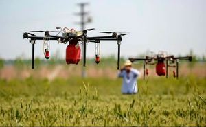Aplicación de las nuevas tecnologí­as en la agricultura