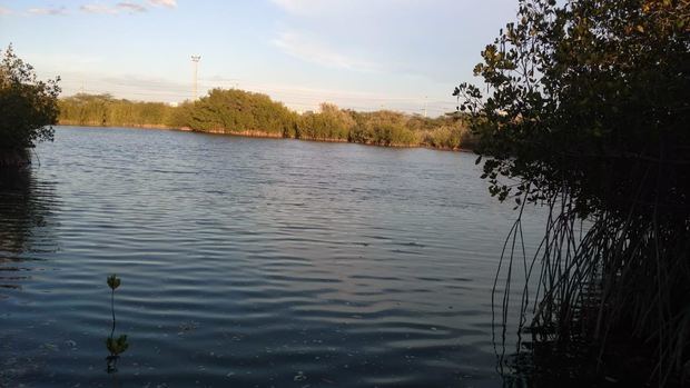 Lagunas de Manzanillo siguen con vida, director de desarrollo fronterizo interviene con equipo de dragado