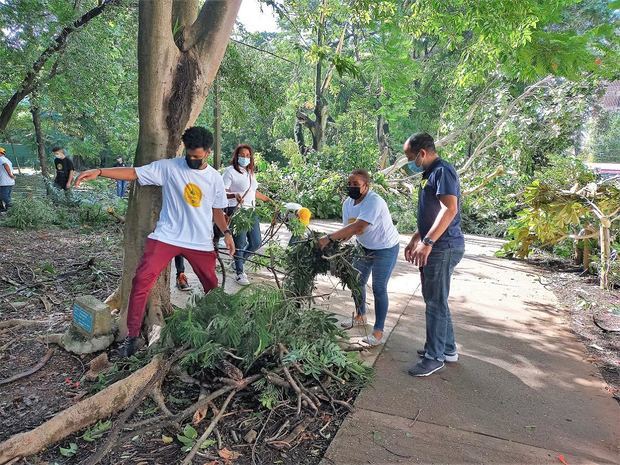 COOPSEMA repara estragos de tormenta Fred en parque “Bosque de la Vida