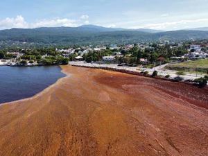 Jorge Mera anuncia plan de trabajo para retirar el sargazo en playas de Barahona