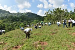 Voluntariado Bancentraliano realizó su XIV jornada de reforestación en el río Ozama