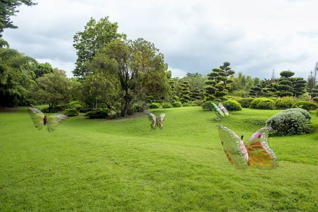 Mariposa, la Era Plasteozoica.