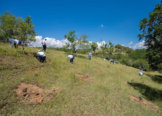 Se sembraron 3,260 árboles en terrenos del Plan Sierra.