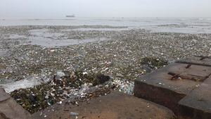 Las unidades de ITABO son afectadas por toneladas de basura en la toma de agua