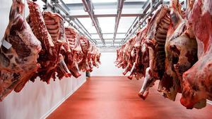 RD aspira a exportar US$690 mm en carne en 5 años; Estados Unidos inspeccionará mataderos en septiembre