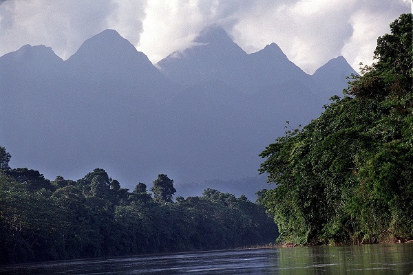 Parque Nacional Cordillera Azul