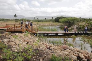 Con la construcción de este humedal artificial, la Fundación Popular reafirma su compromiso con la preservación del medioambiente nacional y la mitigación de los efectos nocivos del cambio climático.  