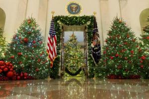 El árbol navideño, un protagonista que esta temporada mengua en EE.UU.