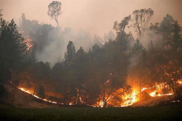 Incendios arrasan la cifra récord de 1,62 millones de hectáreas en California