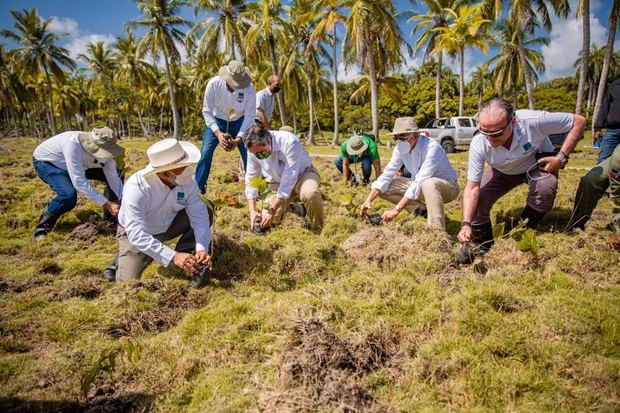 ETED realiza jornada de reforestación.