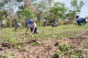 Empleados de AFP Popular reforestan en Santiago