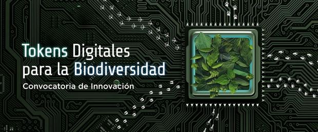 Tokens digitales.