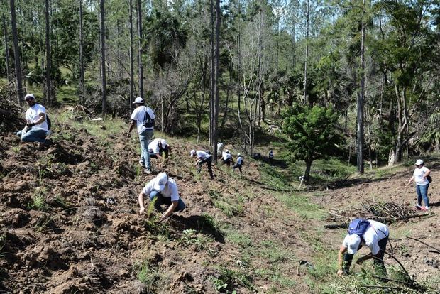 Hasta la fecha la Corporación Zona Franca siembra ha donado 45 millones al Plan Sierra. 
