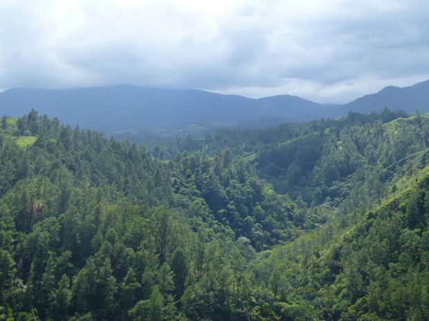 Medio Ambiente llama a preservar el planeta en ocasión de celebrarse el Día Mundial de la Tierra.