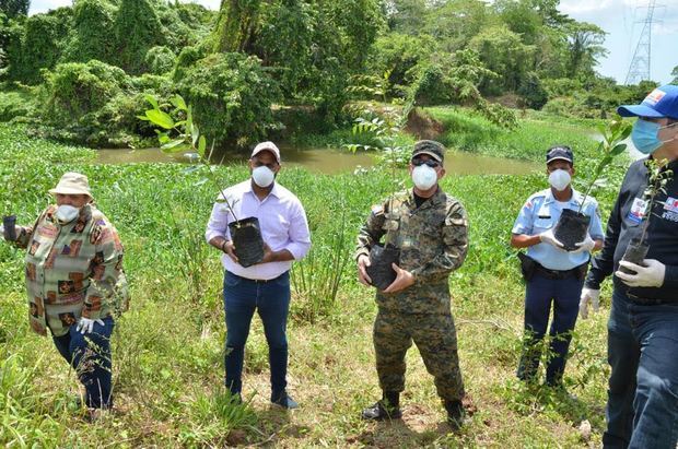 Iniciativa cuenta con asistencia del Ministerio de Medio Ambiente y la Unidad Técnica Ejecutora de los Proyectos de Desarrollo Agroforestal.