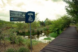 Fundación Popular amplía humedal demostrativo en el botánico de Santiago