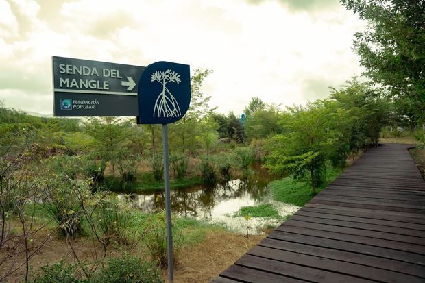 Al visitar el “Sendero del mangle”, ubicado al este del botánico, los transeúntes pueden apreciar la belleza y relevancia de los mangles.