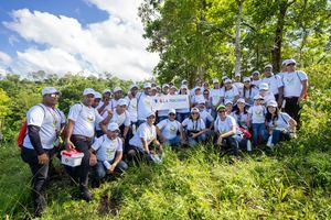 Colchonería La Nacional realiza su 3ra jornada de reforestación.