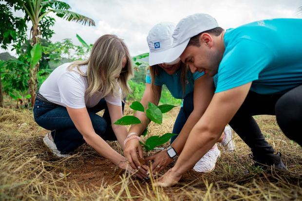 En su etapa adulta las plantas sembradas capturarán 1,056 toneladas de CO2 y almacenarán 9.9 millones de litros de agua anualmente.