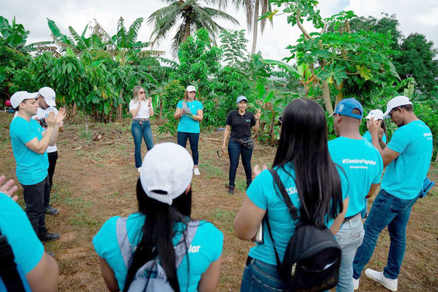 Esta es la tercera jornada de reforestación realizada este año en el país por empleados voluntarios del Banco Popular. 