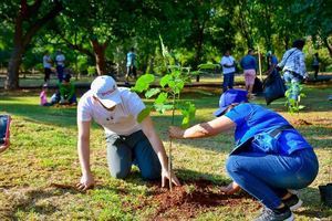 ADN realiza jornada de arborización en el Distrito Nacional