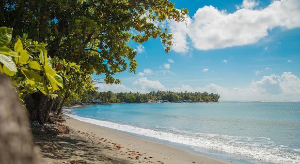 Playa Palenque.