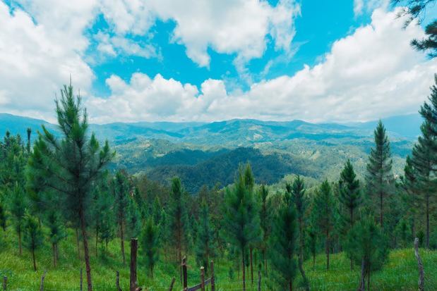 El Plan Sierra es considerado el principal proyecto de conservación medioambiental y de producción de agua y bosques del país.