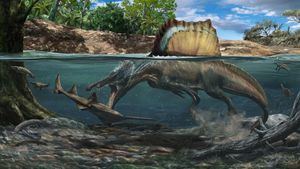 Recreación artística de un Spinosaurus cazando en el agua.