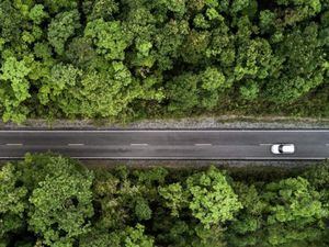 Uber Planet ha compensado 47 mil toneladas de CO2 en Latinoamérica