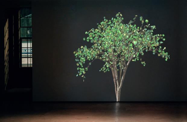 Fotografía cedida por The Margulies Collection donde se muestra la obra 'Dervish 2' (2004) de Jennifer Steinkamp que forma parte de la exposición 'Trascendencia Natural' que se inaugura el próximo 16 de junio en la sala Oolite Arts en Miami Beach, Florida, EE.UU.