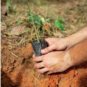 La iniciativa está integrada en el proyecto “Apoyo a la conservación ecológica de ecosistemas reguladores del flujo hídrico la cuenca del Ozama alto”.
