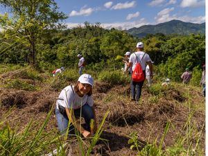 Colchonería La Nacional realiza su 3ra jornada de reforestación