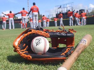 Los Toros dan inicio a sus entrenamientos con miras al campeonato de béisbol