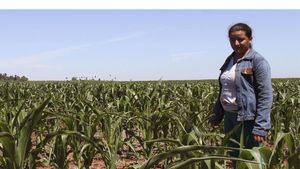 La FAO aboga por una agricultura más sostenible para una mejor producción