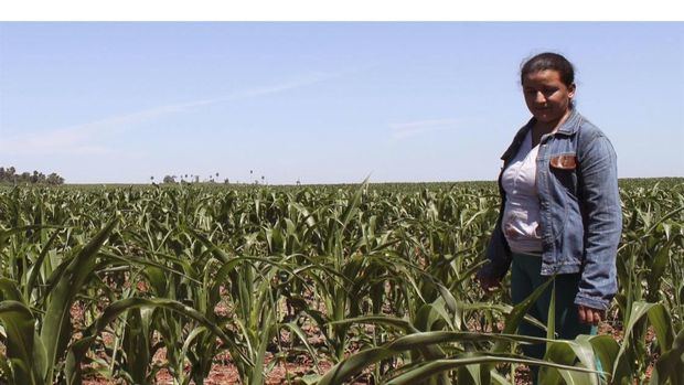 La FAO aboga por una agricultura más sostenible para una mejor producción.