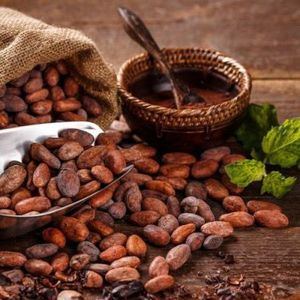 Haití y RD buscan fortalecer industria del Chocolate