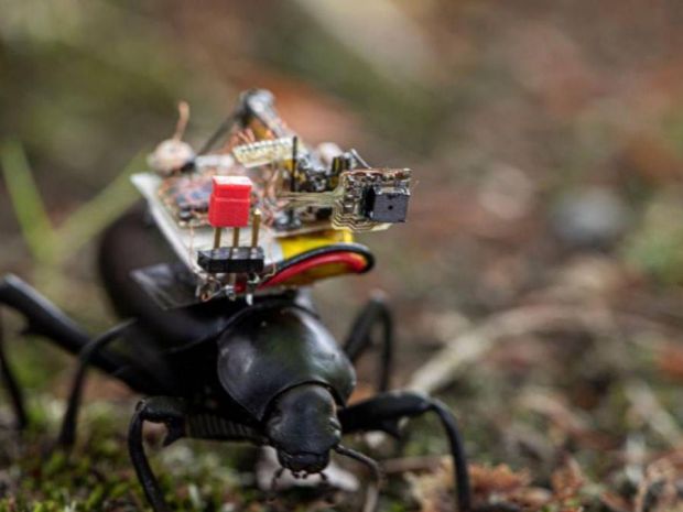 Robots inspirados en escarabajos para realizar tareas en espacios reducidos.