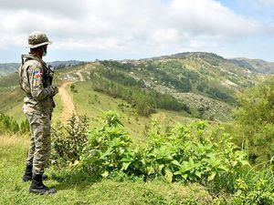 Defensa afirma que la frontera está "bien cuidada" y que la verja avanza