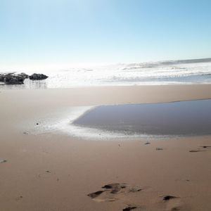 Estás parado en una playa desierta con el sol brillando y el viento soplando suavemente. Miras a tu alrededor y te das cuenta de que tienes la capacidad divina para manifestar lo que quieres. ¿Qué vas a hacer para cambiar tus actitudes, pensamientos y enfocarte en lo que deseas?