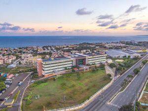 Ministerio de Turismo y comunitarios inician amplio operativo de limpieza de playas en Cayo Levantado, Samaná