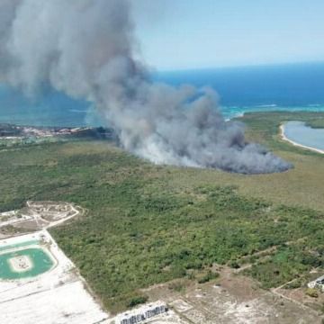 Fuego forestal.