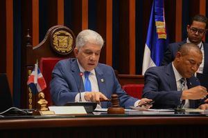 Aprueban liberar de impuestos importación regalos de dominicanos en el extranjero